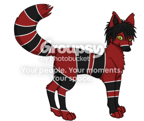 User Image